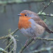 Robin Waters Photo 33
