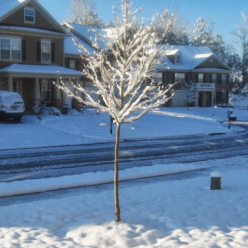 Rhonda Taylor Photo 33