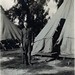 Thomas Bowen Photo 25