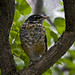 Robin Sharp Photo 19
