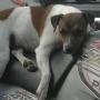 Cathy Cartwright Photo 35