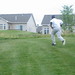 David Mcclure Photo 41