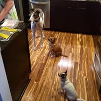 Danny Johnston Photo 15