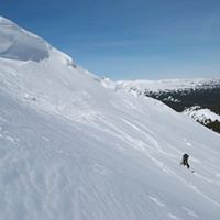 Robert Prentice Photo 33