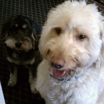 Julian Morris Photo 7