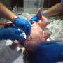 Stephen Conklin Photo 24