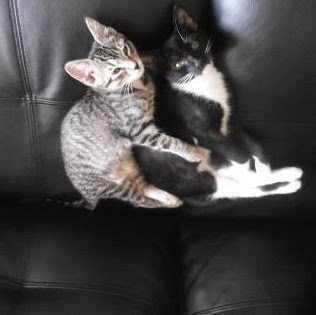 Lori Russell Photo 26