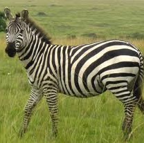 Erika Weber Photo 11