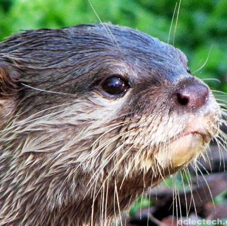 Suzanne Bennett Photo 29