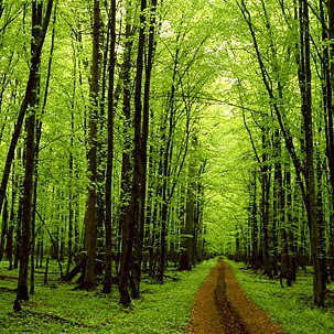 Teri Foster Photo 15