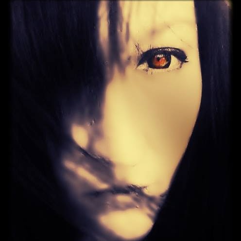 Stacey Wolfe Photo 31