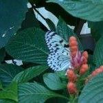 Chantal Dallaire Photo 8