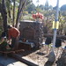 Kathy Cross Photo 3