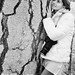 Lisa Trees Photo 8