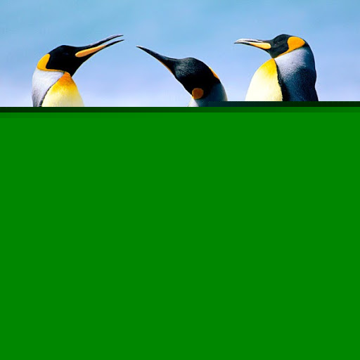 Jimmy Simon Photo 32