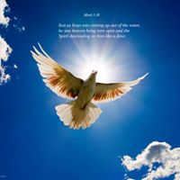 Lisa Merritt Photo 9