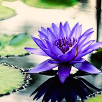 Angela Maxfield Photo 11