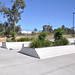 Janette Green Photo 16