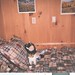 Carol Alexander Photo 40