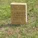 Elizabeth Jenkins Photo 24