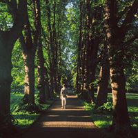 Daniel Jensen Photo 36 Daniel Jensen Photo 36