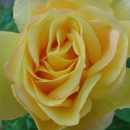 Paula Fox Photo 17