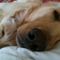 Teddy Swanson Photo 3