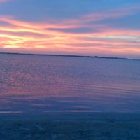 Harold Sharp Photo 25 Harold Sharp Photo 25