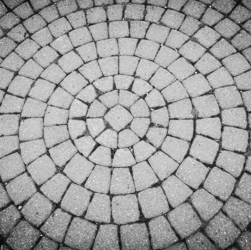 Raymond Ross Photo 10 Raymond Ross Photo 10