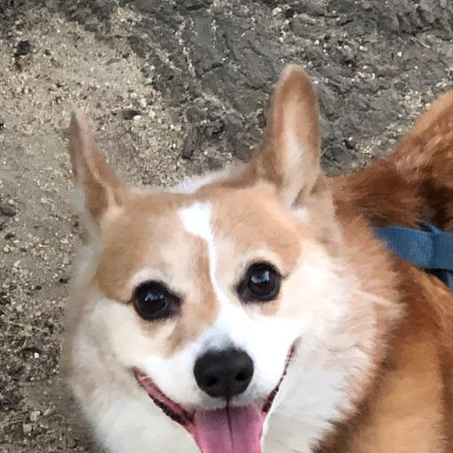 Christopher Tubbs Photo 8