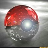 Tim Collins Photo 7 Tim Collins Photo 7