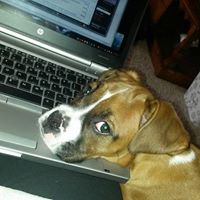 Stacey Terry Photo 17