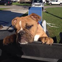 Kimberly Sayre Photo 16