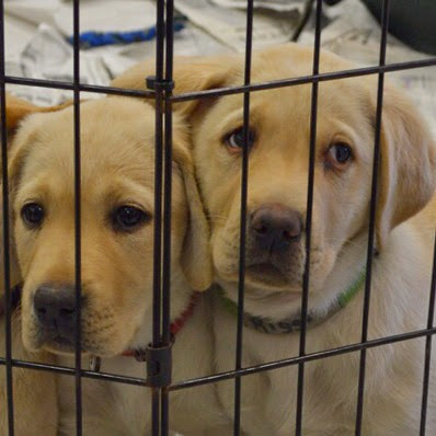 Michael Strobel Photo 7