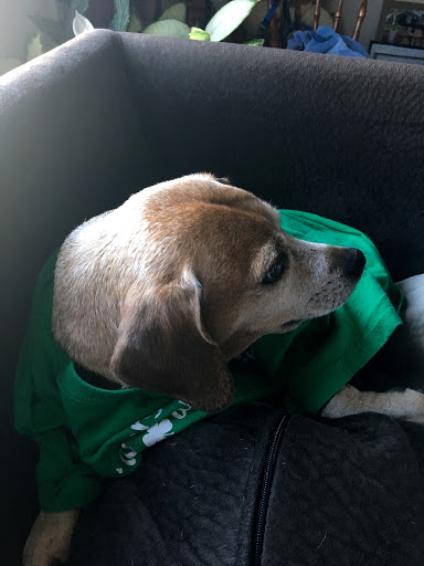 Suzanne Garvey Photo 2