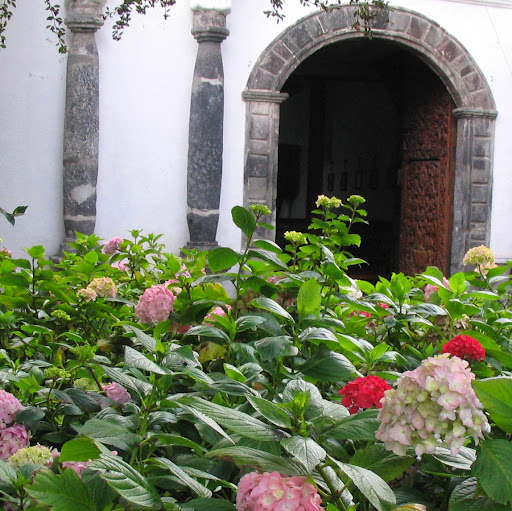 Lisa Mancini Photo 19