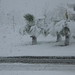 Jennifer Wilt Photo 34