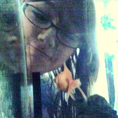 Rebecca Henderson Photo 22