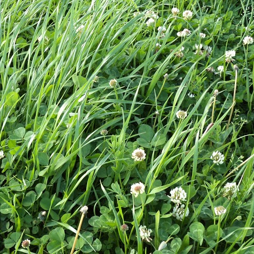 Federico Rodriguez Photo 15 Federico Rodriguez Photo 15