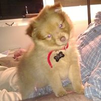 Jenna Wheeler Photo 13