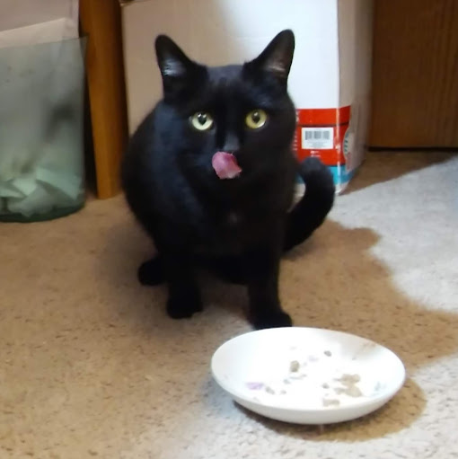 Cheryl Towne Photo 12