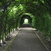 Robert Allee Photo 6