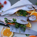 Beverly Trout Photo 26
