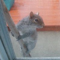 Rachelle Starr Photo 13