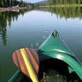 Susan Schafer Photo 23