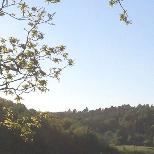 Brian Fox Photo 52 Brian Fox Photo 52