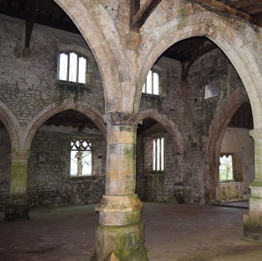 Claire Willis Photo 13