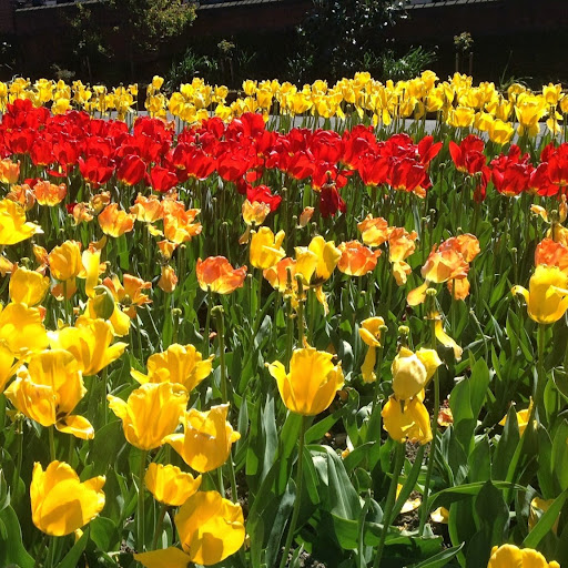 Lisa Talbot Photo 22