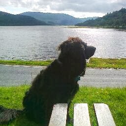 Brian Macfarlane Photo 14