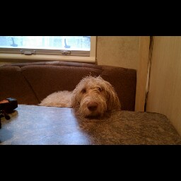 Cindy Martin Photo 8